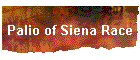 Palio of Siena Race